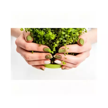Eco-Friendly-Press-On-Nails-120-120.webp